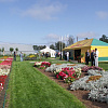 oiendhwf imrzkecb 2013 w21n.JPG